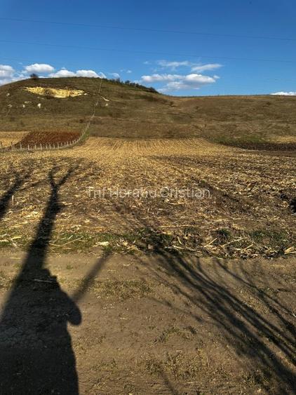 Teren extravilan 9000 mp Corușu, Baciu – acces drum,  acces apa curgatoare - 15