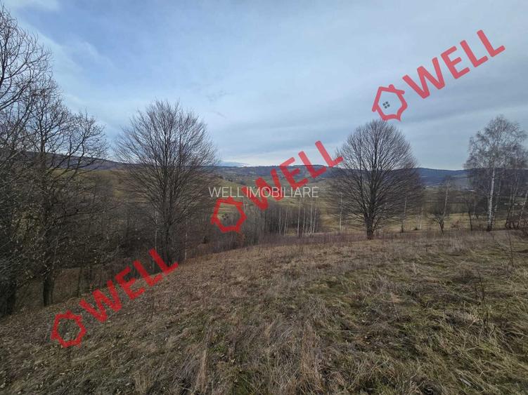 Teren extravilan de vânzare în Sărămaș, pe punctul de numit ,,PARAIE,, - 3