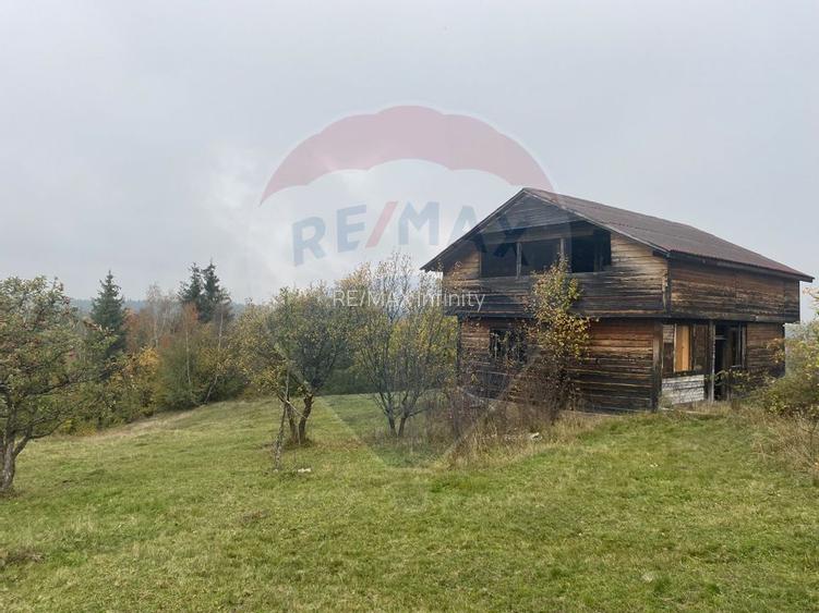 Teren de vanzare 8119 mp Calatele Padure.Muntii Apuseni - 8