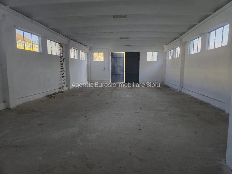 Hala in Sibiu loc Avrig Marsa - 5