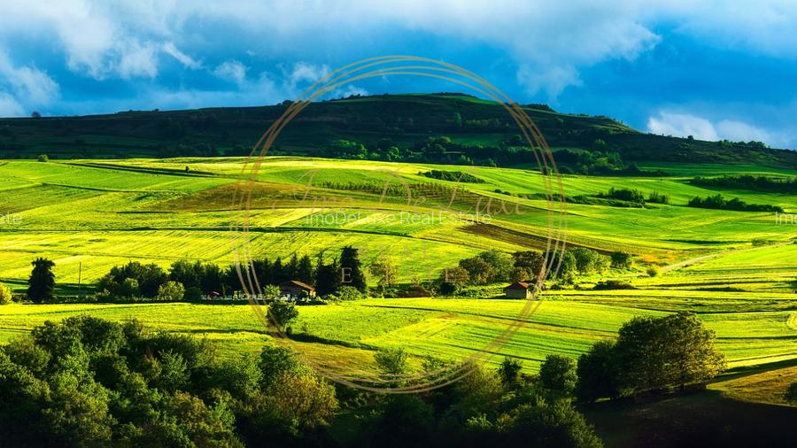 Teren intravilan, 2745 mp, utilitati, asfalt, priveliste, in Feleacu - 6