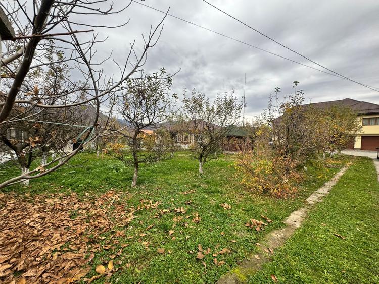 CASĂ DE VIS SAU AFACERE DE SUCCES – BAIA SPRIE - 12
