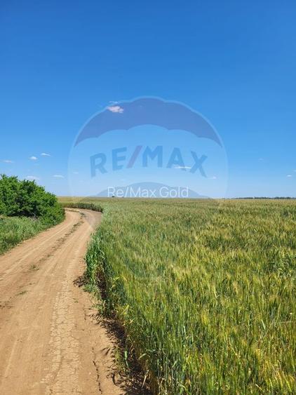 Teren intravilan 5,000 mp Peris IF - 3