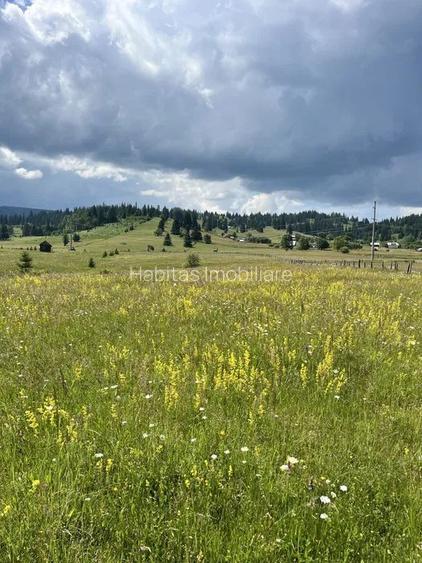 Vand teren Neagra Sarului, langa Vatra Dornei, 0% Comision - 3