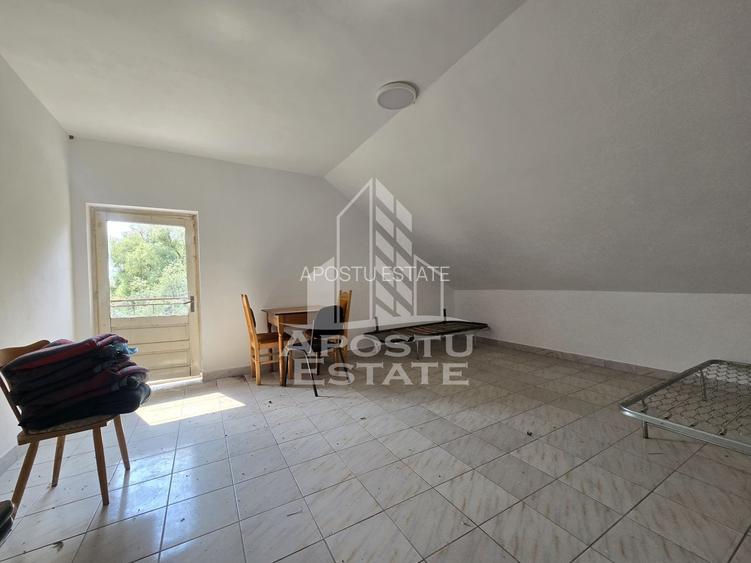 Casa de vanzare, potential pensiune, pe malul Timisului,Sag,comision 0 - 15