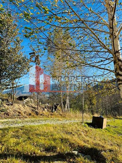 Teren Bran / Predelut cu priveliste 1840mp - 8