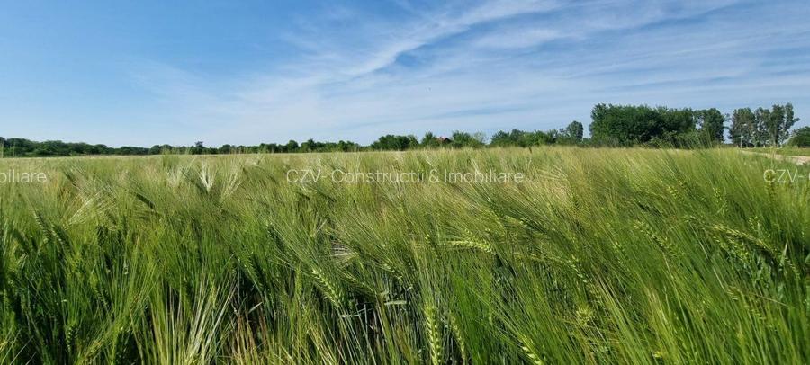 Ferma de Cultura Mare 1100 HA - 12