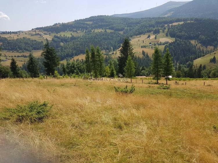 ! Ocazie! Teren extravilan, comuna Arieseni - 7