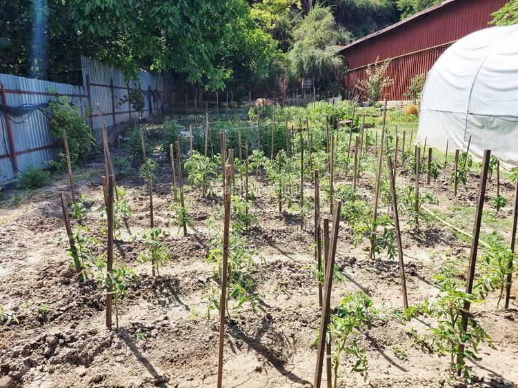 Proprietate mixta 1200mp teren locuinta si spatiu comercial / productie - 6