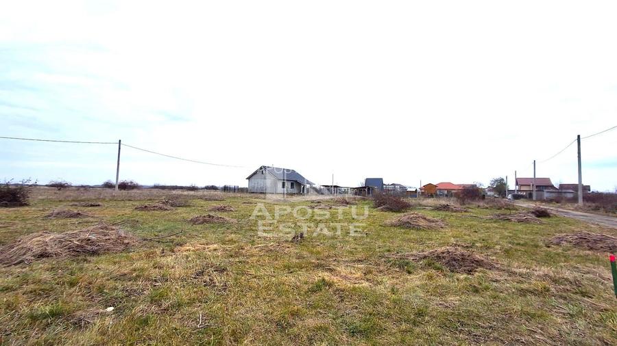 Teren intravilan 500mp Mandruloc - 6