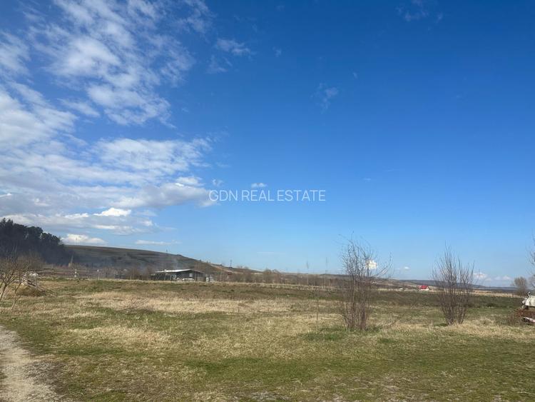 Casa 3 dormitoare, 128mp, 4750mp teren, piscina, cuptor de paine , Casolt - 15