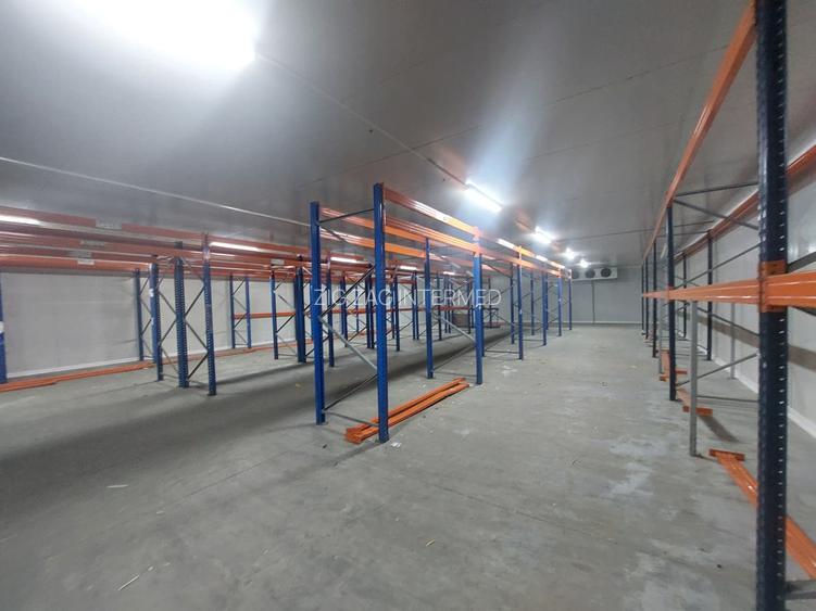 Zona Industriala , hala frigorifica 527 mp. - 3