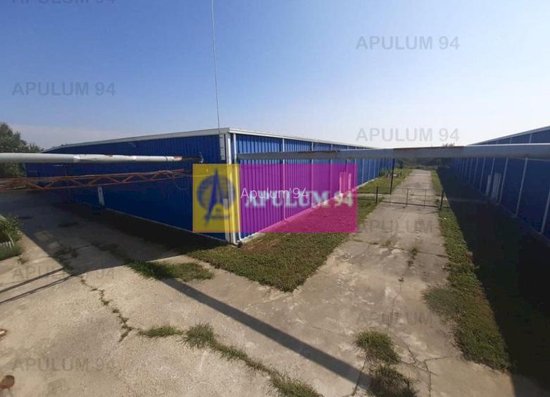 Spatiu Logistic langa Bucuresti Hala 5000 mp - 45