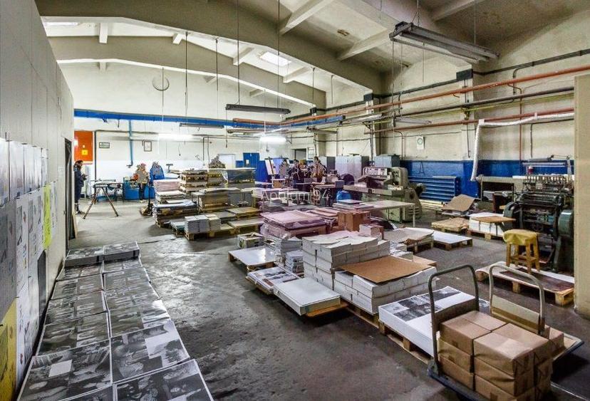 Hală producție Ambalaje Carton și casă locuibilă la 25km de București - 2