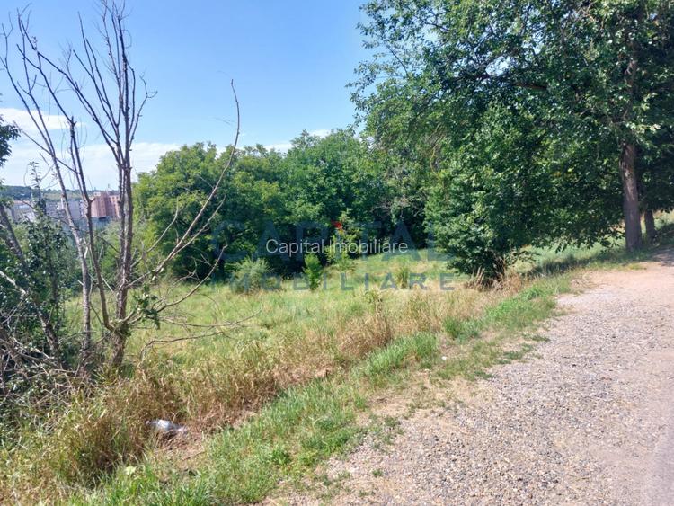 Teren intravilan construibil - 3