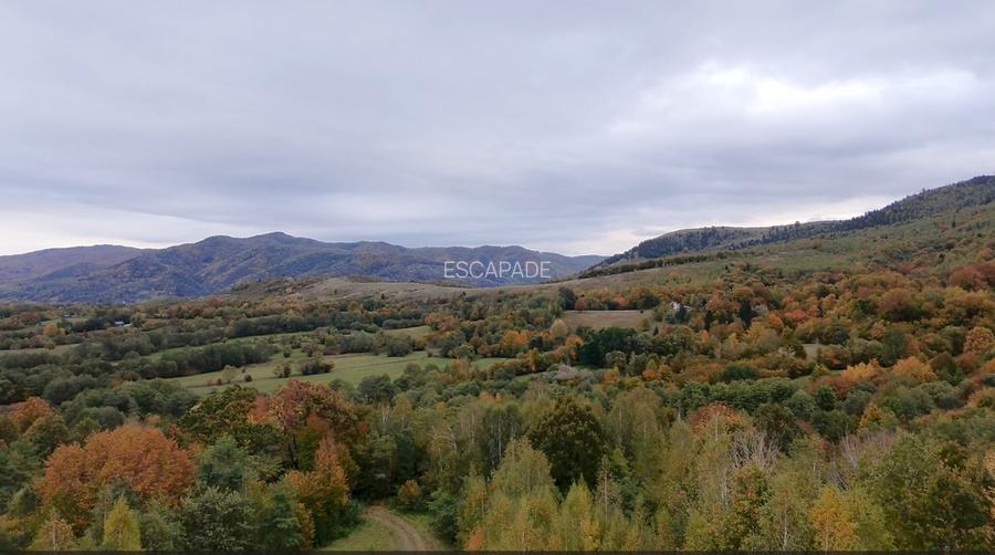 Teren ideal recreere/conectare cu natura/zona Fagaras/achitare in rate - 16