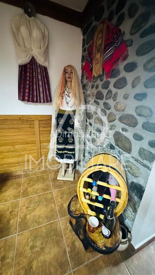 Vânzare vilă spațioasă în Târgu-Jiu , Bld Ecaterina Teodoriu - 17