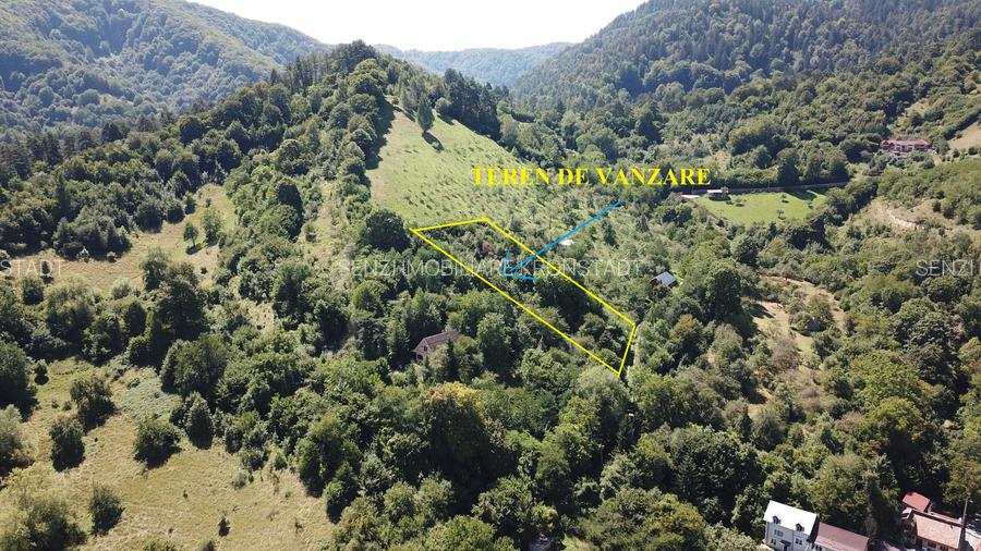 Teren in Scheii Brasovului inconjurat de natura - 7