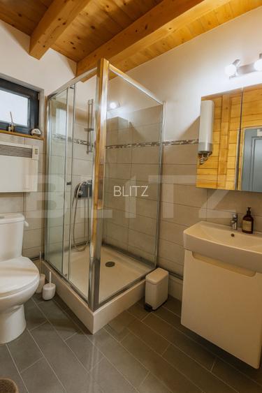 Casa ecologica tip sandwich, eficienta energetic, teren 2.673 mp, zona Baisoara - 7