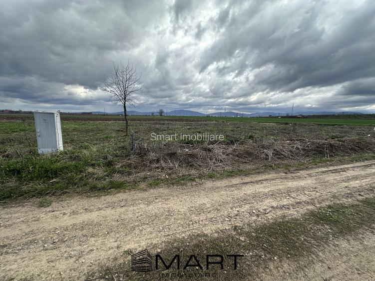 Teren intravilan 520 mp Harman - 3