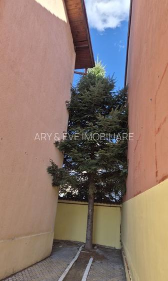 Eleganță și Versatilitate lângă Parcul Bazilescu - 5