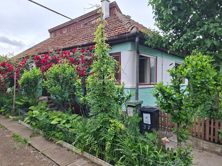 Casă de vânzare Sf.Gheorghe - 3