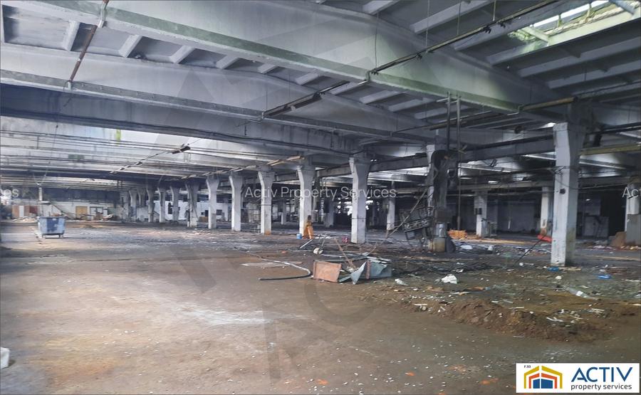 Spatiu Industrial de inchiriat Brasov- Codlea - 2