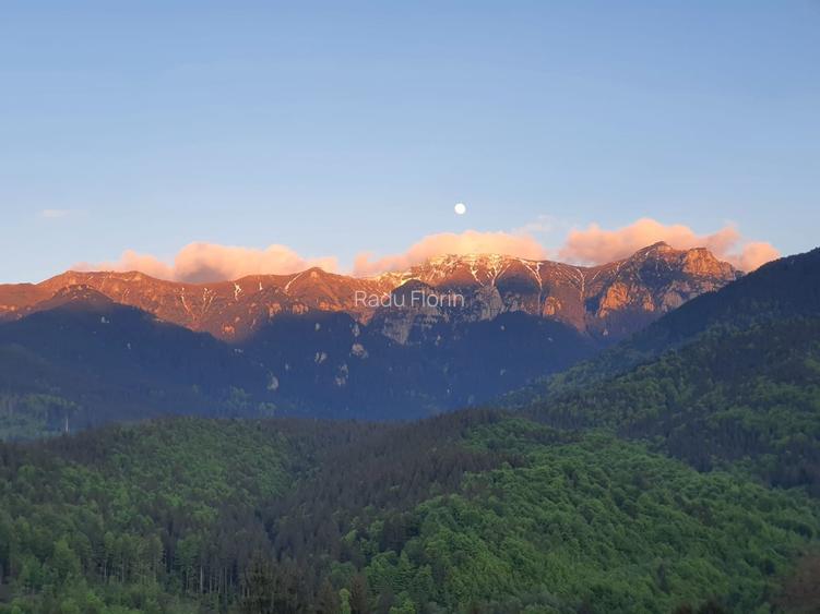 Loturi premium într-o comunitate restrânsă, cu vedere directă către Mt Bucegi - 2