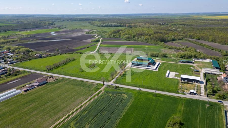 Black Angus Farm with authorized Slaughterhouse - 3