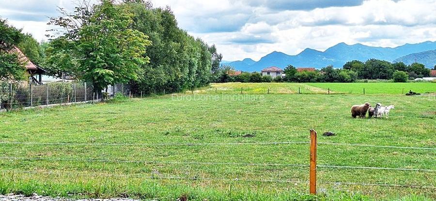 Brasov, cartier Stupini, teren intravilan 8500mp pe str Izvorului, 30 euro/mp - 9