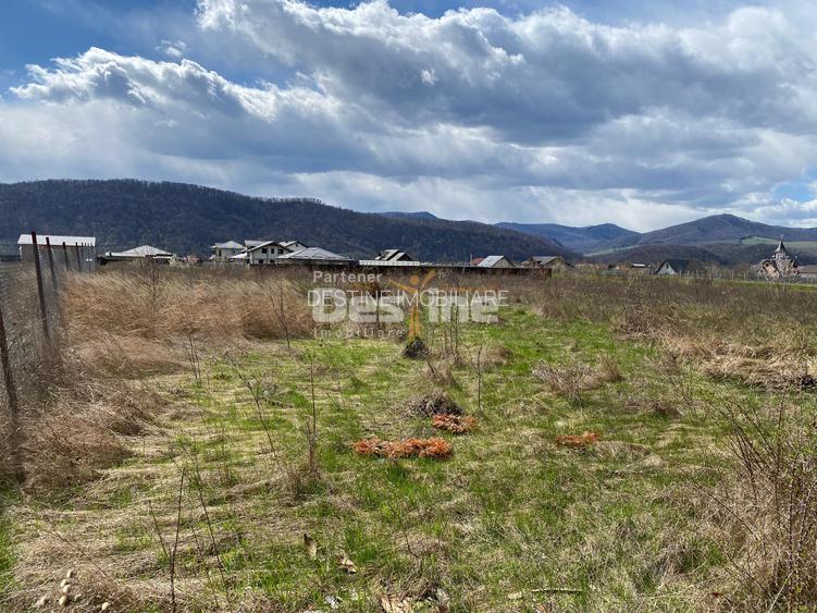 Teren de vanzare Dumbrava Rosie 20.000 Euro 900mp - 10