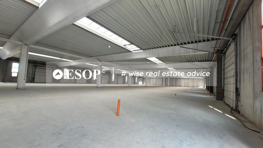 Hale industriale, parc modern, Rudeni, Chitila, Ilfov- ID 15462 - 25