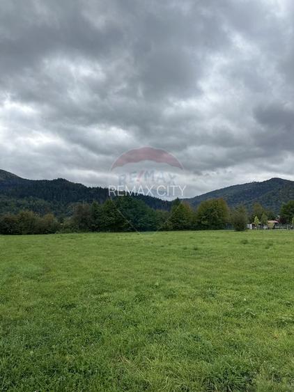 Teren 1,023mp Vadurele (Alexandru cel Bun) / Strada Stejarilor - 3