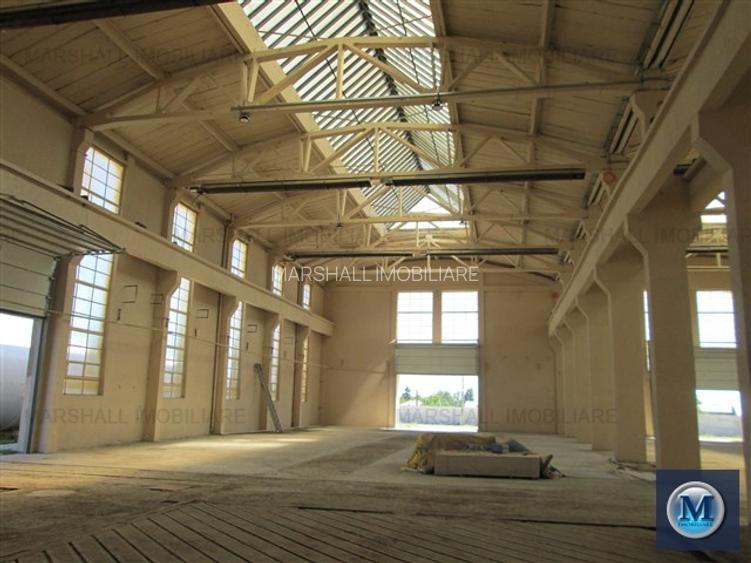 Spatiu industrial de inchiriat in Boldesti-Scaeni, zona Sud, 1948 mp #10186 - 3