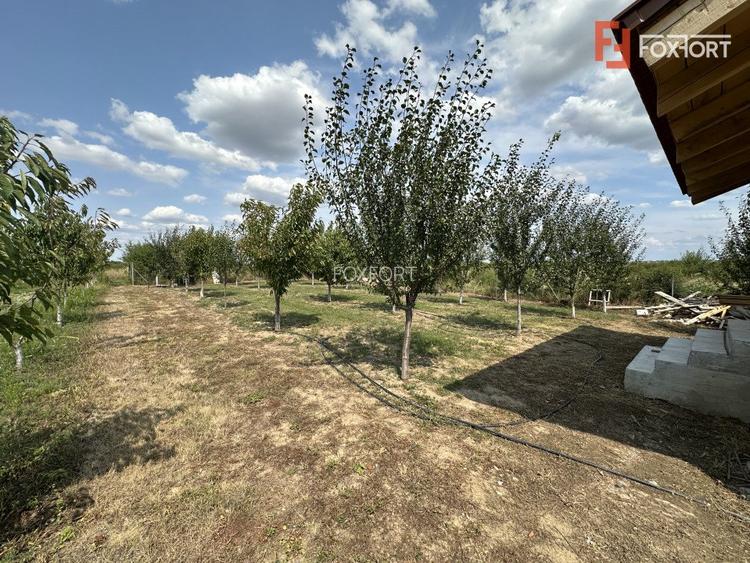 COMISION 0% Casa individuala cu 3 camere si teren de 752 mp -  Mosnita - 8