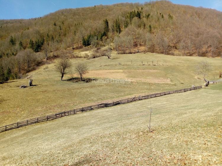 Teren de vânzare cu casă în Apuseni - 15