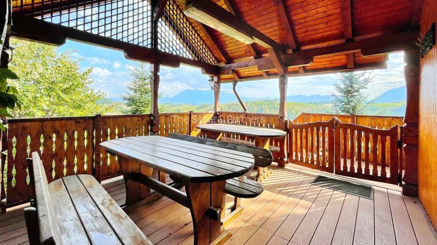 Complex de 3 case pe 18000 mp teren - 53