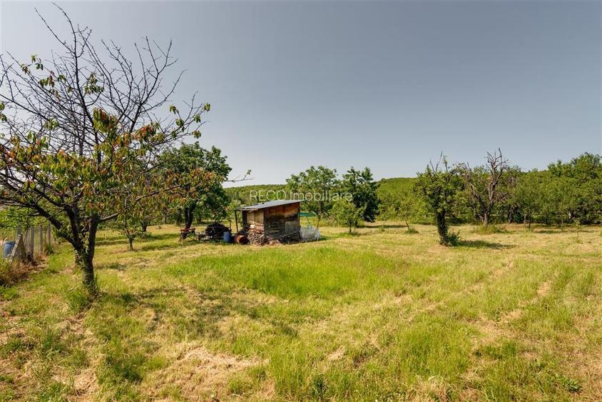 Casa cu living+3 camere cu panorama si teren mare pe Sofiei - 51