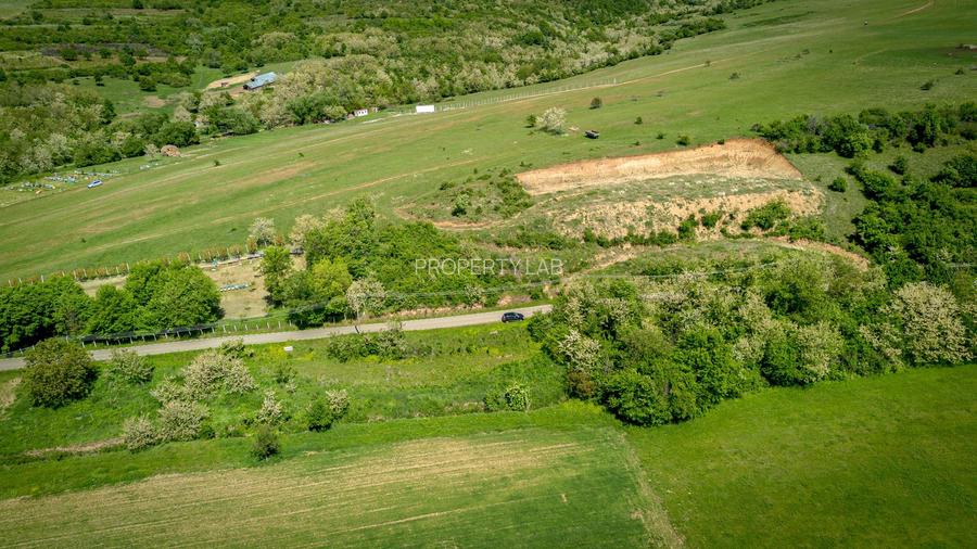 Teren extravilan în vecinătatea Mănăstirii Feredeu - 7
