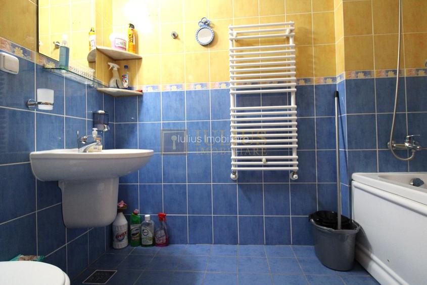 Zona linistita, posibilitate decontare-Sagului - 9