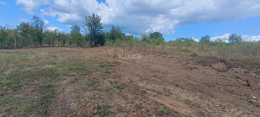 Terenuri cu suprafete intre 500 si 1500 mp in Baicoi, zona Liliesti. - 15