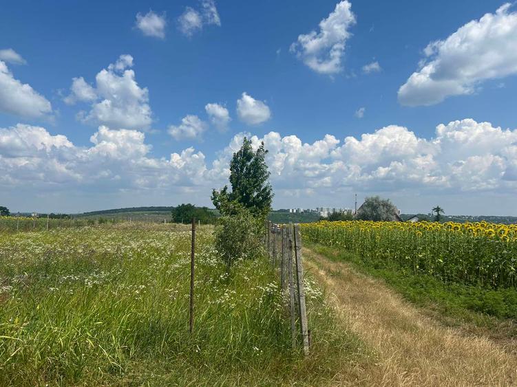 Teren intravilan Platoul Beldiman Rediu Iași – 787 mp Deschidere la 2 drumuri Construibil