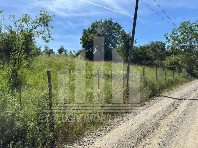 Teren intravilan | 1654 mp | 21 ml deschidere | Seigau - 2