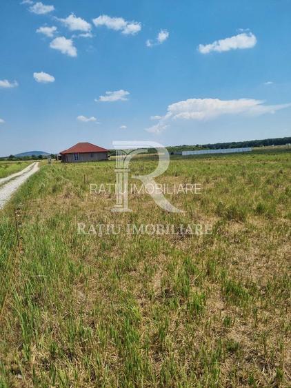 Teren intravilan | Cihei | Bihor - 3