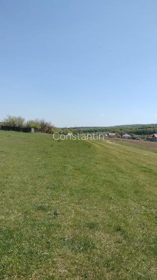 Teren extravilan 7.200 mp Bordea - Grajduri/ Oportunitate Investiție  - 2