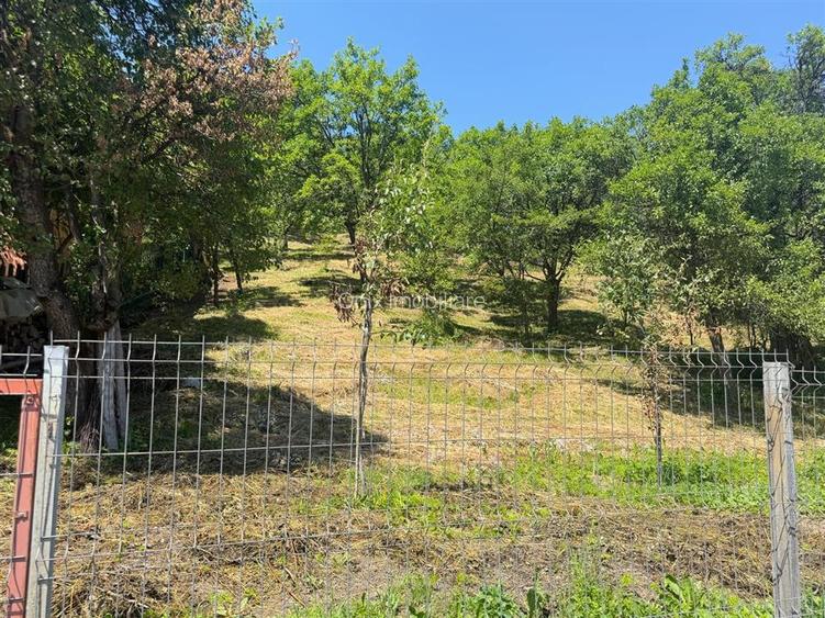 Teren Valea Doftanei, Tesila, utilitati la strada, padure in spate - 5