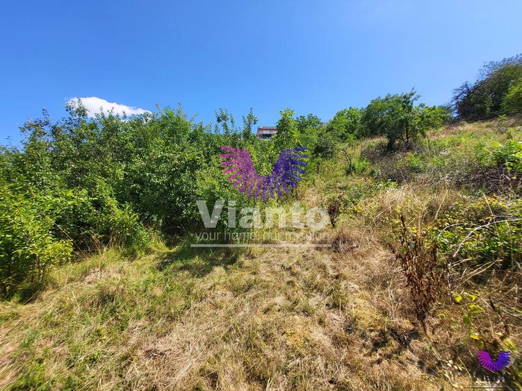 Teren Intravilan 546 mp | Panorama deosebita | PUZ in lucru