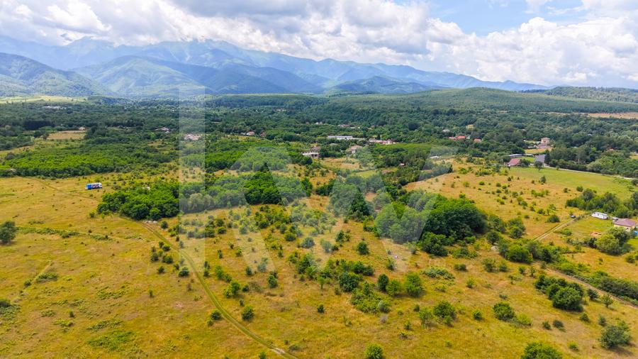 Teren extravilan de vânzare - Valea Avrigului, Sibiu