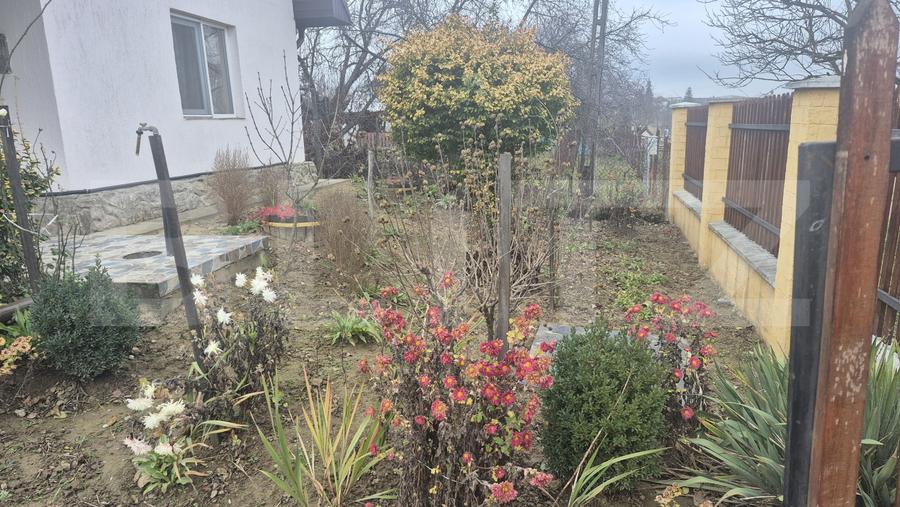 Casa cu 2 camere, 65 mp, teren 2910 mp, in Viile Satu Mare