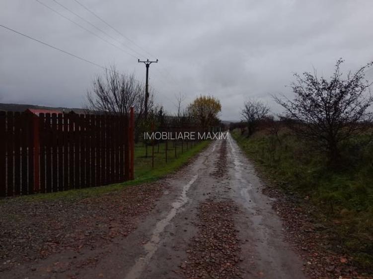 Imobiliare Maxim - teren livada in Daia - 2